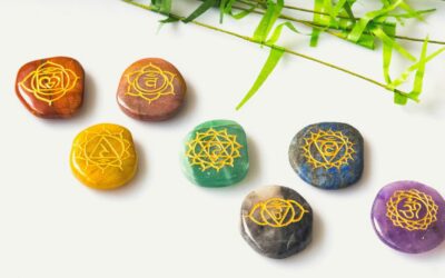 De 7 basis Chakra’s